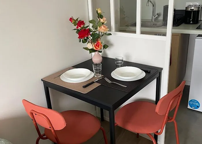 Apartment Bright And Peaceful With Extendable Bed Palaiseau